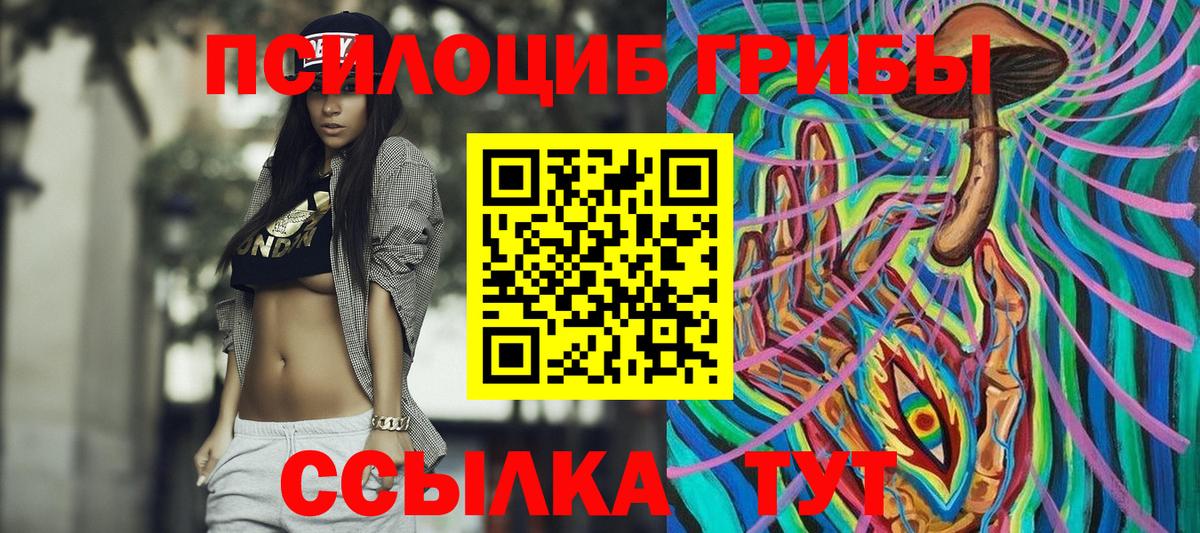 Псилоцибиновые грибы Cubensis  Галлюциногенные грибы мицелий  Вход с VPN  Рассказово 