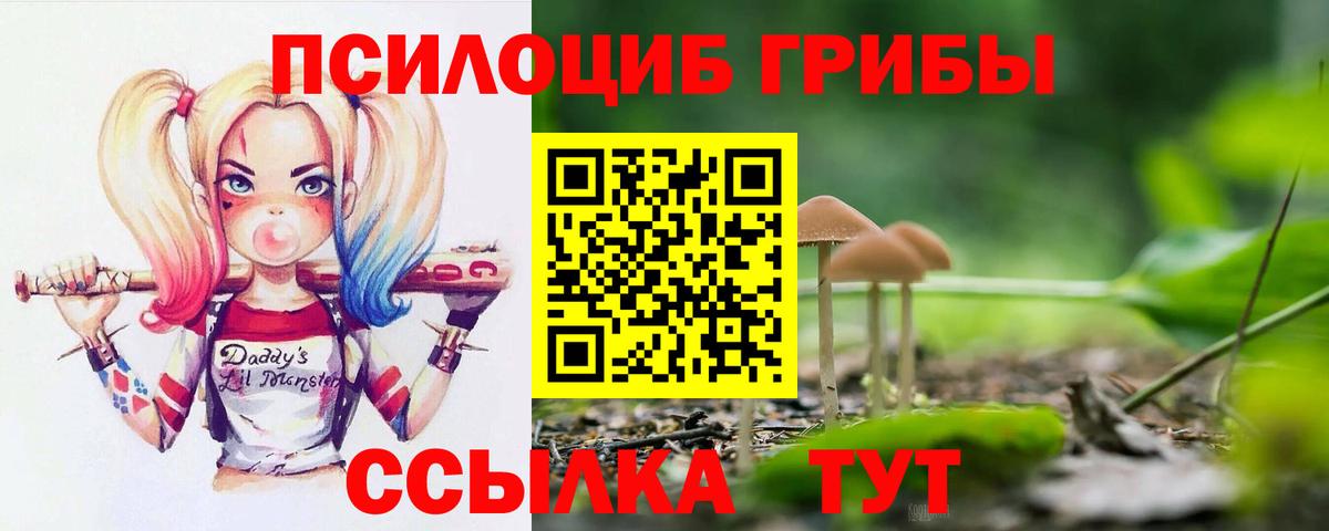 Псилоцибиновые грибы Psilocybine cubensis Рассказово